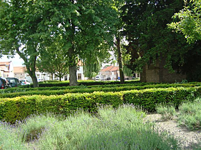 Groen in Groede