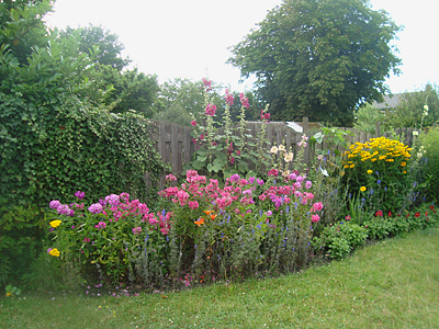 De tuin